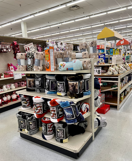 Discount Store «Big Lots», reviews and photos, 3048 E College Ave, Ruskin, FL 33570, USA