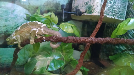 Pet Supply Store «Petco Animal Supplies», reviews and photos, 2000 NE Burnside Rd, Gresham, OR 97030, USA