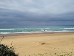 Photo de Ponta Mamoli Beach avec un niveau de propreté de très propre