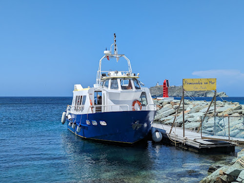 Agence d'excursions en bateau San Paulu Navette Maritime - Sentier des Douaniers - Promenades en bateau - Cap Corse Ersa