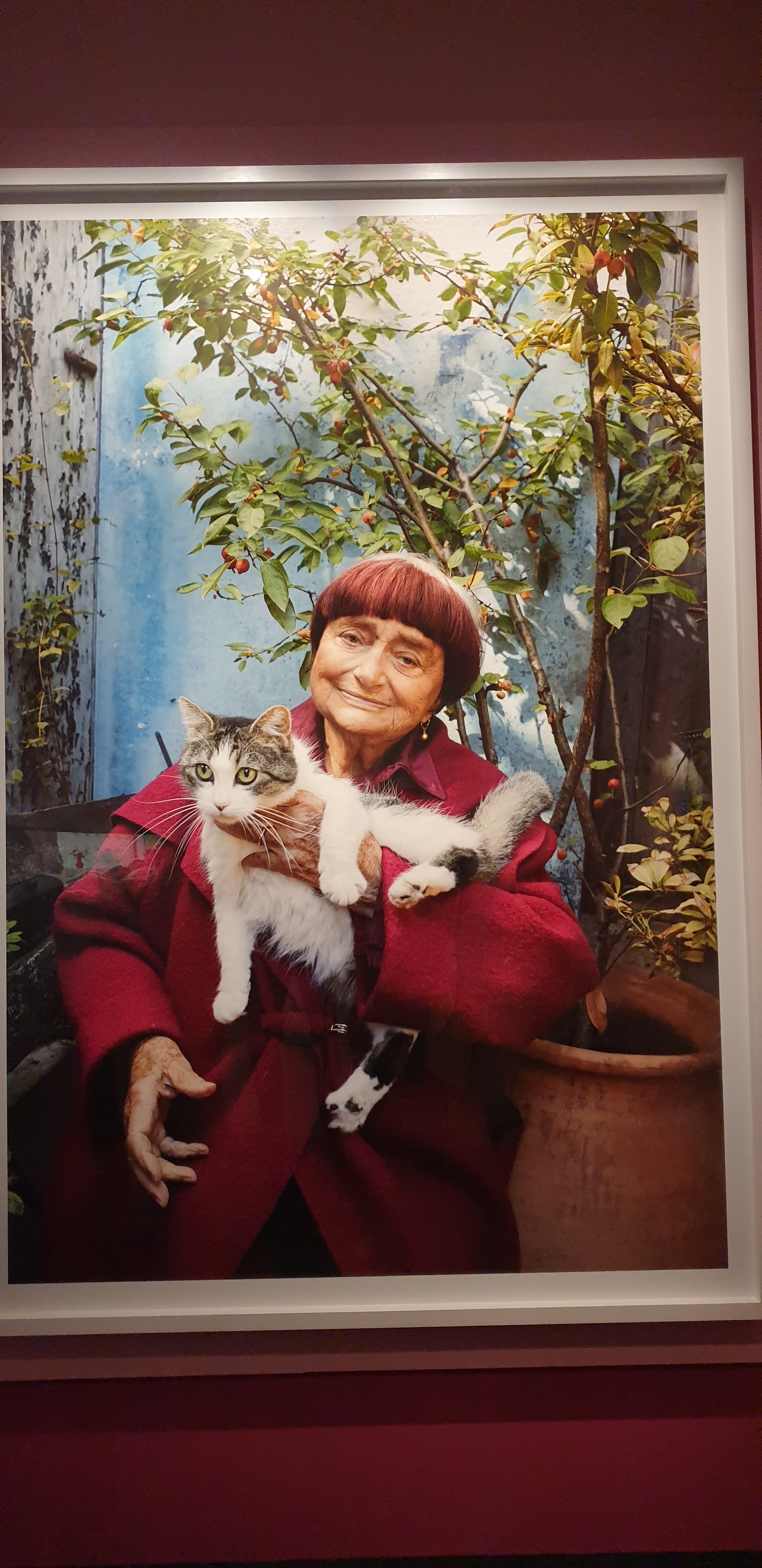 Photo n° 4 de l'avis de Sylvette.o fait le 13/10/2023 à 16:10