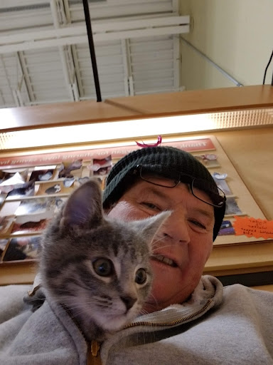 Pet Supply Store «PetSmart», reviews and photos, 4013 Wisconsin 28, Kohler, WI 53081, USA