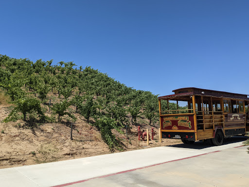 Temecula Valley Cable Car Wine Tours