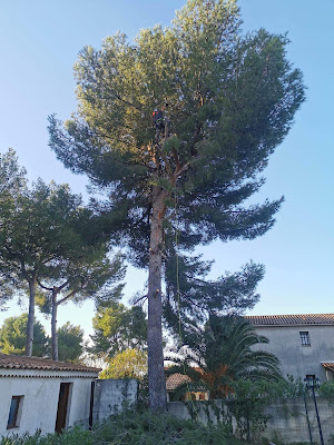 La Cime en Moins à Jouques