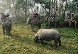 Vườn quốc gia Chitwan