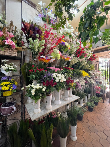 Cheap flower stores Cairo