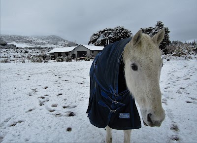 Photos of Glenorchy Peaks B&B