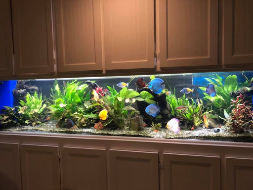 Pet Store «Fish Bowl Aquarium & Pet Mart», reviews and photos, 725 Providence St, West Warwick, RI 02893, USA