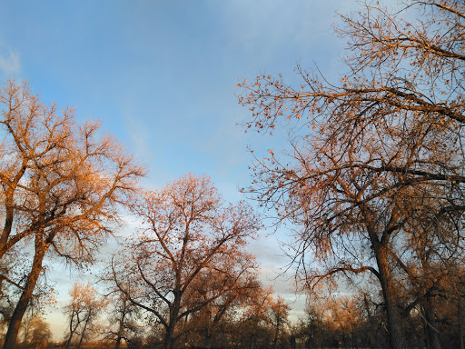 Nature Preserve «Morrison Nature Center», reviews and photos, 16002 E Smith Rd, Aurora, CO 80011, USA