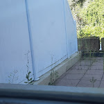 Photo n°3 de l'avis de Elisabeth.i fait le 25/07/2022 à 20:41 sur le  Hotel Annaberg Bad Dürkheim à Bad Dürkheim