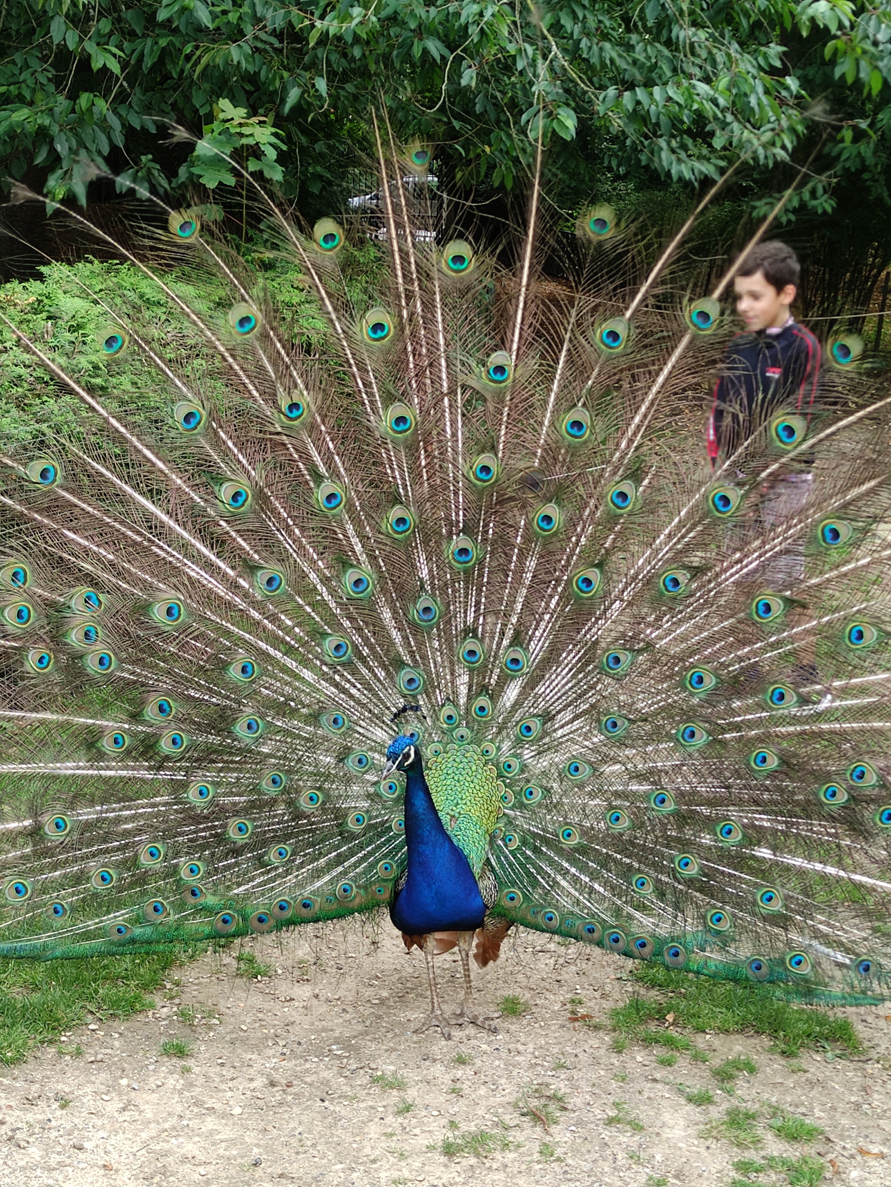 Photo n° 2 de l'avis de Francine.d fait le 02/08/2021 à 16:19