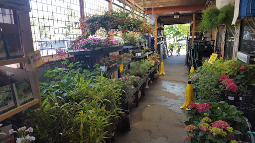 Hardware Store «Sebastopol Hardware Ctr», reviews and photos, 660 Gravenstein Hwy N, Sebastopol, CA 95472, USA