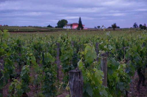 Travel Agency «Seven Lands and Seas Travel», reviews and photos, 2161 Jamieson Ave, Alexandria, VA 22314, USA