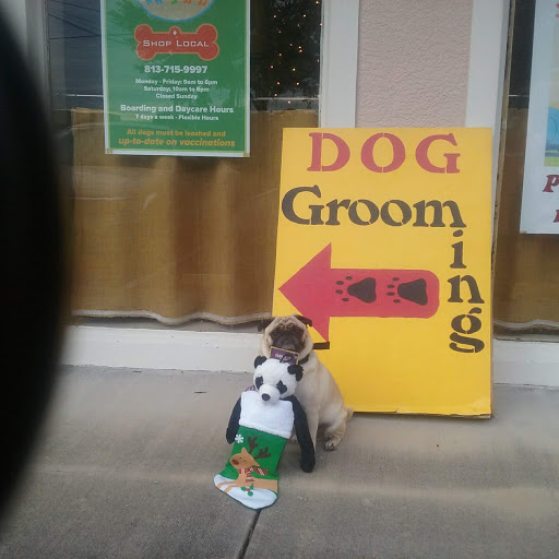 Pet Store «Barkz & Wagz», reviews and photos, 38445 Co Rd 54, Zephyrhills, FL 33542, USA