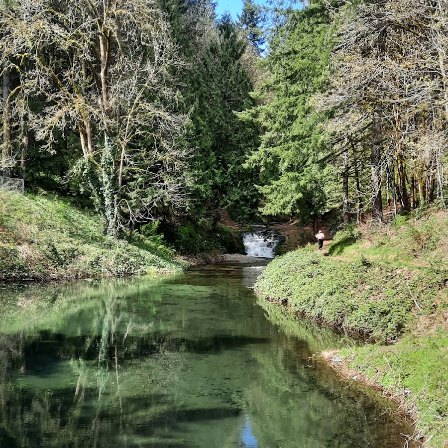 Shelton Creek Dam