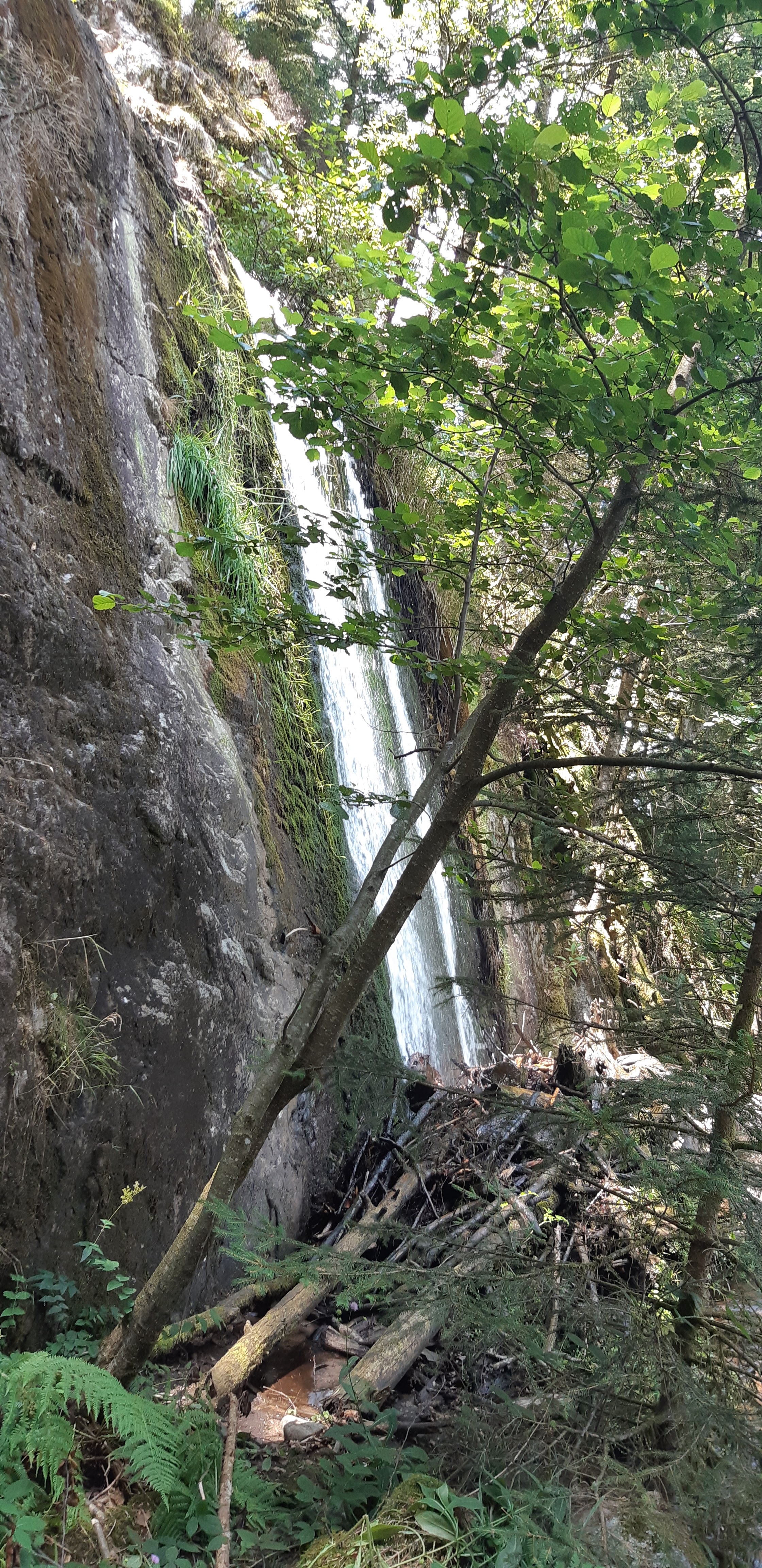 Photo n° 4 de l'avis de Anthony. fait le 03/08/2019 à 16:00