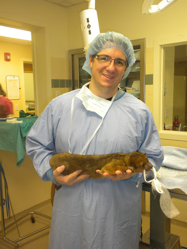 Nautilus Avian & Exotics Veterinary Specialists image