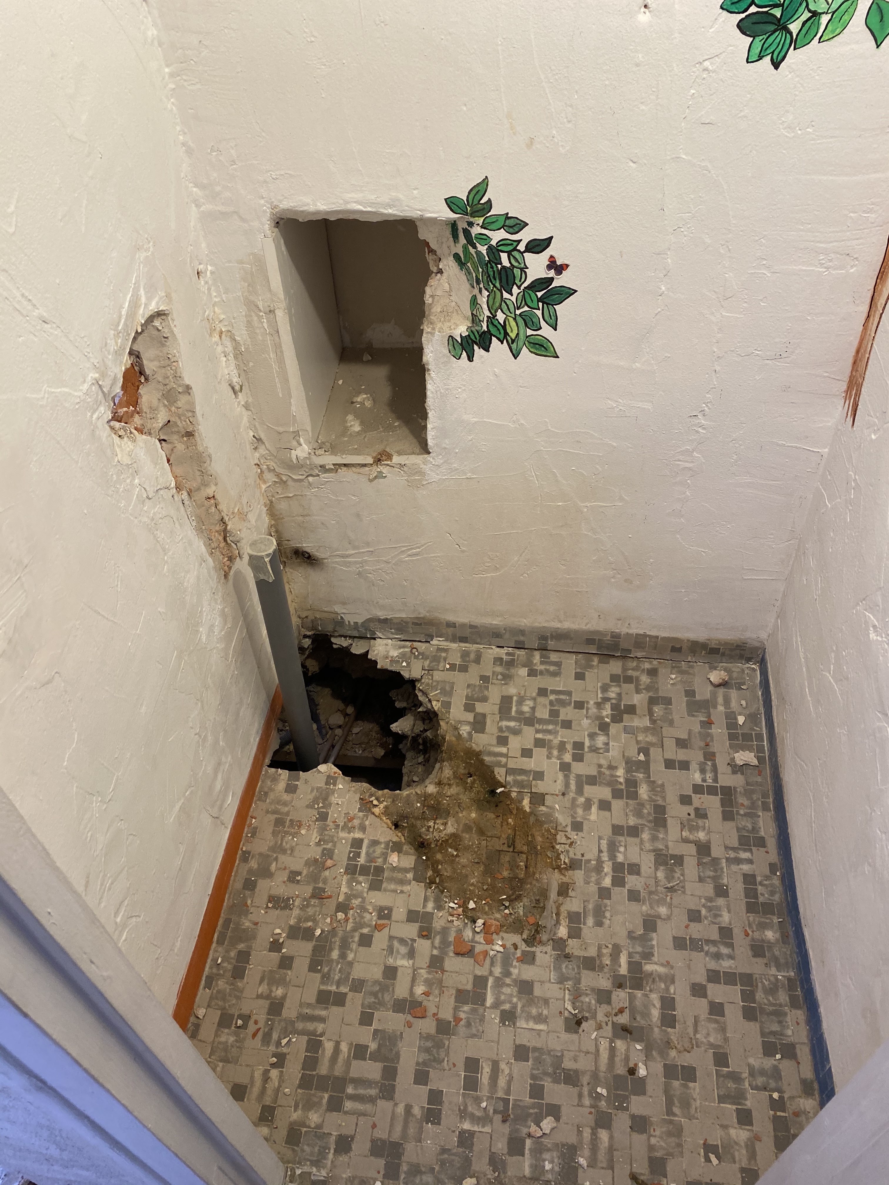 Photo n° 3 de l'avis de aahlame. fait le 19/05/2020 à 22:04