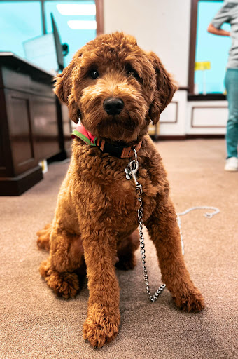 Nissan Dealer «Pat Peck Nissan - Gulfport», reviews and photos, 9480 US 49, Gulfport, MS 39503, USA