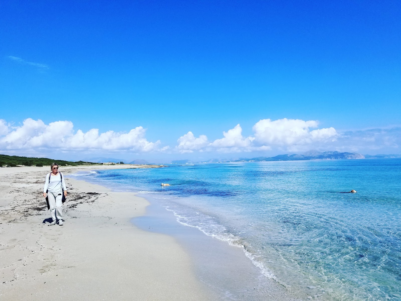 Fotografija Platja de Son Real 2 z turkizna čista voda površino