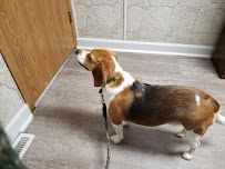 Potwin Pet Clinic - Photo 2 - Car repair in Topeka, KS, Topeka