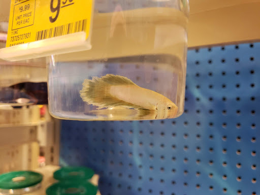 Pet Supply Store «PetSmart», reviews and photos, 1236 Greenbrier Pkwy, Chesapeake, VA 23320, USA