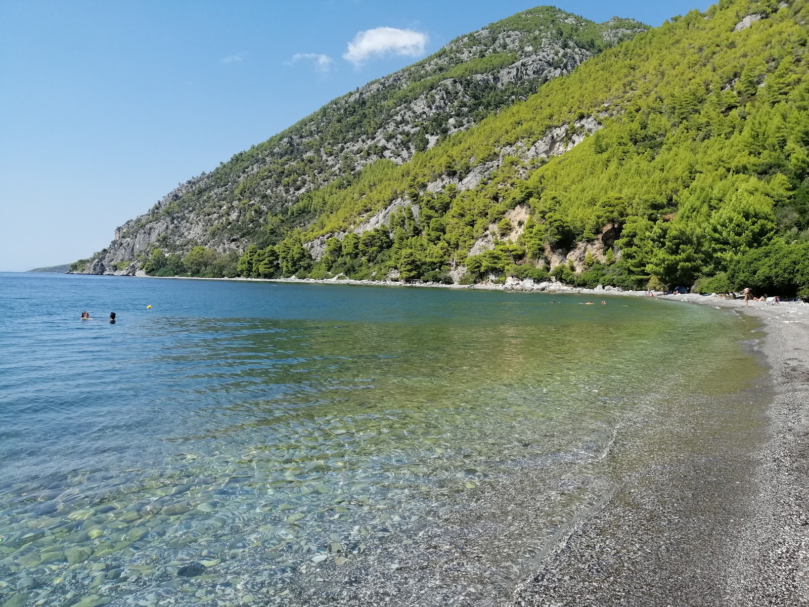 Foto de Dafni of Evia beach ubicado en área natural