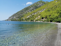 Foto von Dafni of Evia beach und seine wunderschöne Landschaft