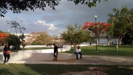 Parque Pedro Infante Hundido