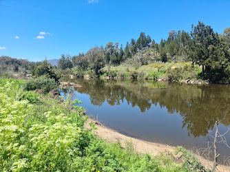 Pine Island Reserve