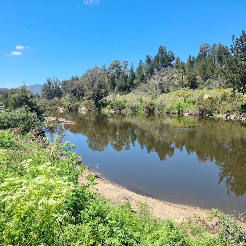 Pine Island Reserve