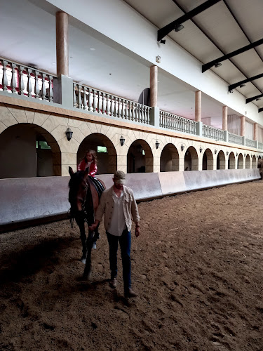 Academia Equestre Arte Lusitana