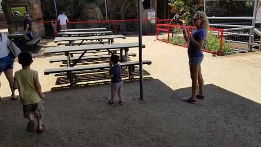 Zoo «Animal World & Snake Farm Zoo», reviews and photos, 5640 Interstate 35 Frontage Rd, New Braunfels, TX 78132, USA
