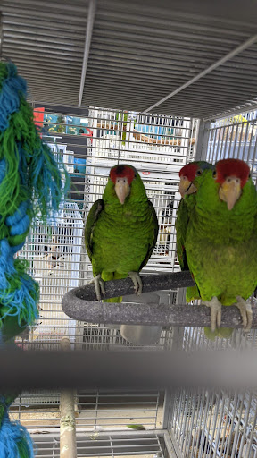 Pet Supply Store «Neighborhood Pet Shop», reviews and photos, 574 Hialeah Dr, Hialeah, FL 33010, USA