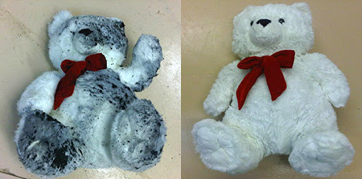 Water Damage Restoration Service «NuBilt Restoration & Construction», reviews and photos, 2134 S Valentia St, Denver, CO 80231, USA