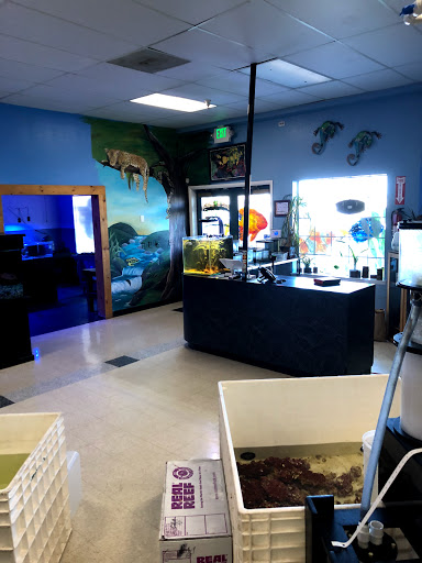 Tropical Fish Store «AquaTerra», reviews and photos, 8492 Gravenstein Hwy, Cotati, CA 94931, USA