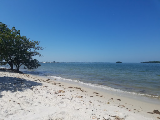 Resort «Sanibel Harbour Marriott Resort & Spa», reviews and photos, 17260 Harbour Pointe Dr, Fort Myers, FL 33908, USA