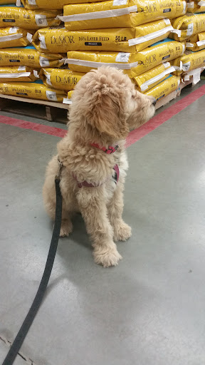 Home Improvement Store «Tractor Supply Co.», reviews and photos, 10545 E Main St, Apache Junction, AZ 85120, USA