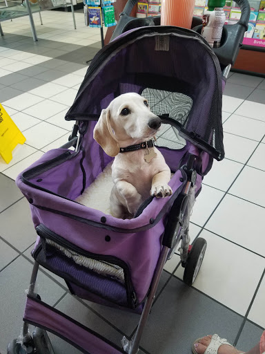 Car Wash «Sundance Car Wash Inc», reviews and photos, 525 Cirby Way, Roseville, CA 95678, USA