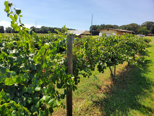 Winery «Fox Vineyards & Winery», reviews and photos, 225 State Hwy 11, Social Circle, GA 30025, USA