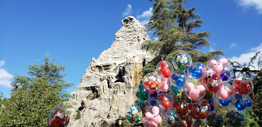 Amusement Park Ride «Matterhorn Bobsleds», reviews and photos, 1313 S Harbor Blvd, Anaheim, CA 92802, USA