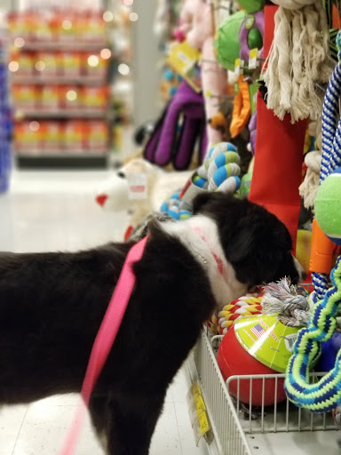 Animal Feed Store «Wilco Farm Store», reviews and photos, 2950 S Santiam Hwy, Lebanon, OR 97355, USA