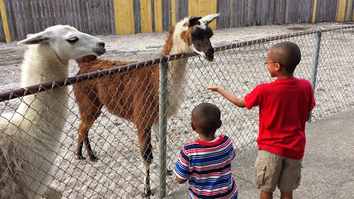 Zoo «Gulf Breeze Zoo», reviews and photos, 5701 Gulf Breeze Pkwy, Gulf Breeze, FL 32563, USA