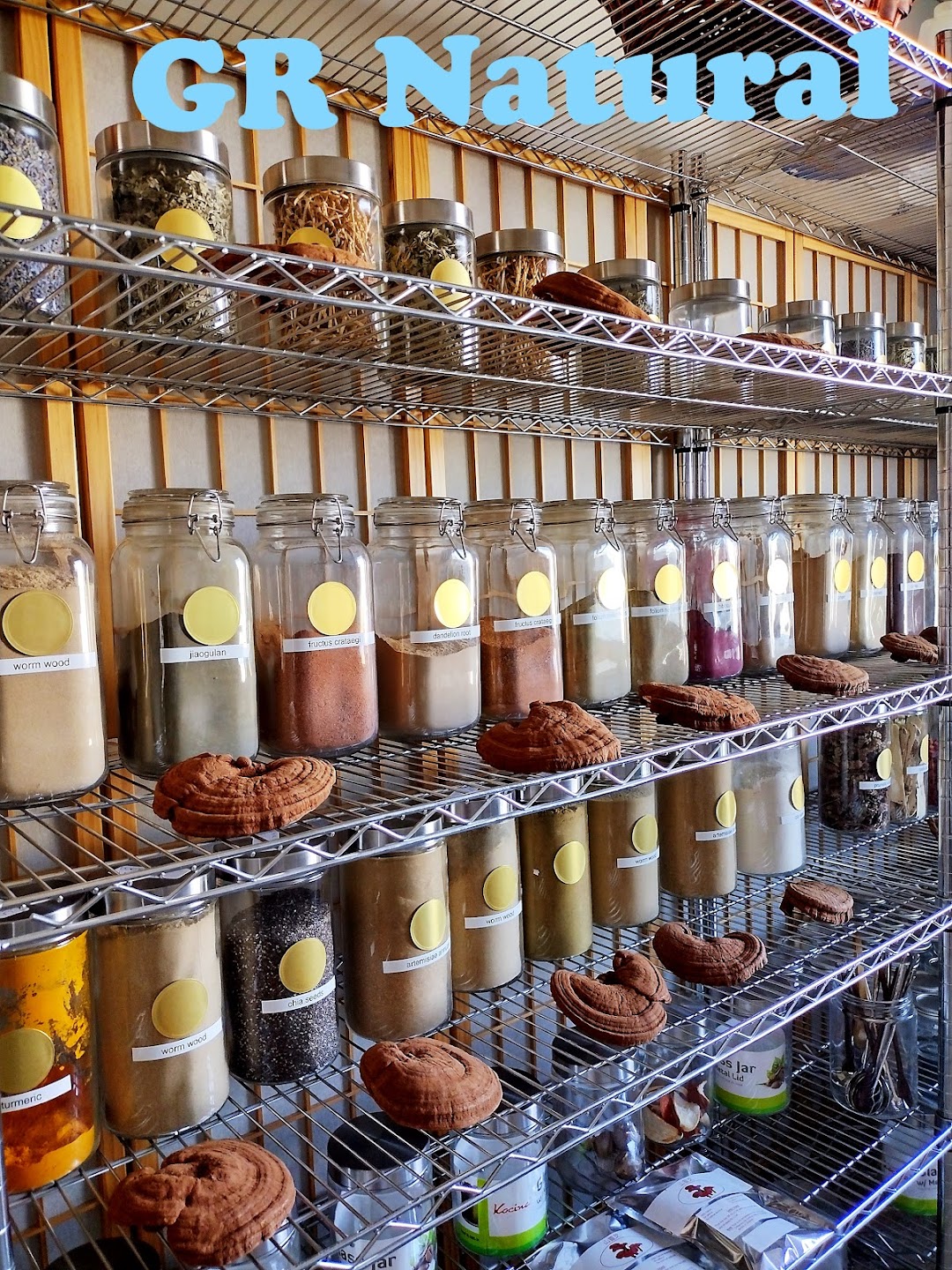 Medicina natural china gerson reishi