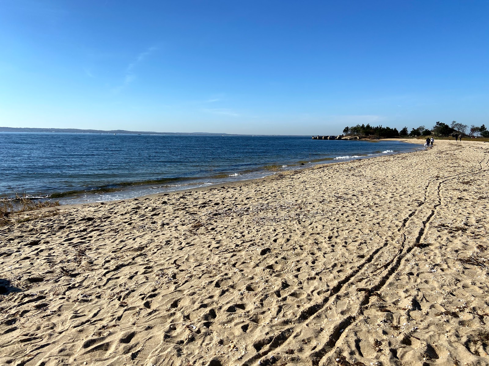 Sandy hook beach的照片 带有明亮的沙子表面