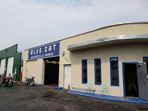 Blue Cat Motorcycle