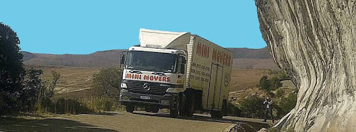 Mini Movers - Moving and Storage Company
