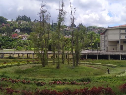 Private universities in Caracas