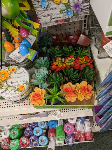 Dollar Store «Dollar Tree», reviews and photos, 31876 Castaic Rd, Castaic, CA 91384, USA