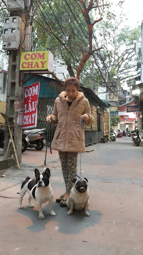 Ngọc Huyền Pets